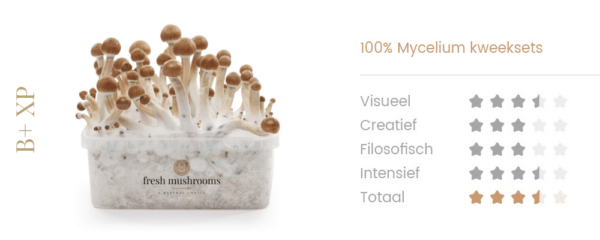 Magic Mushrooms Grow Kit B+ - Afbeelding 2