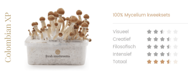 Magic Mushrooms Grow Kit Colombian - Afbeelding 2