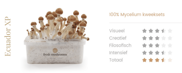 Magic Mushrooms Grow Kit Ecuador - Afbeelding 2