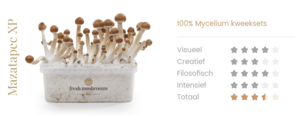 Magic Mushrooms Grow Kit Mazatapec - Afbeelding 2