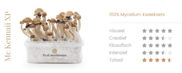 Magic Mushrooms Grow Kit McKennaii - Afbeelding 2