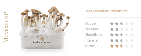 Magic Mushrooms Grow Kit Mexican - Afbeelding 2