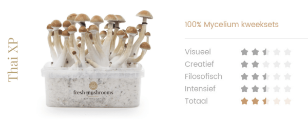 Magic Mushrooms Grow Kit Thai - Afbeelding 2